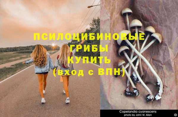 индика Нефтекумск