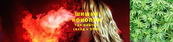 сатива Надым