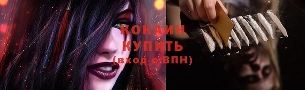 индика Навашино