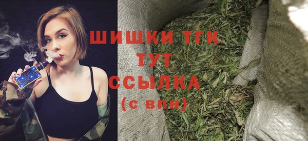 индика Нефтекумск