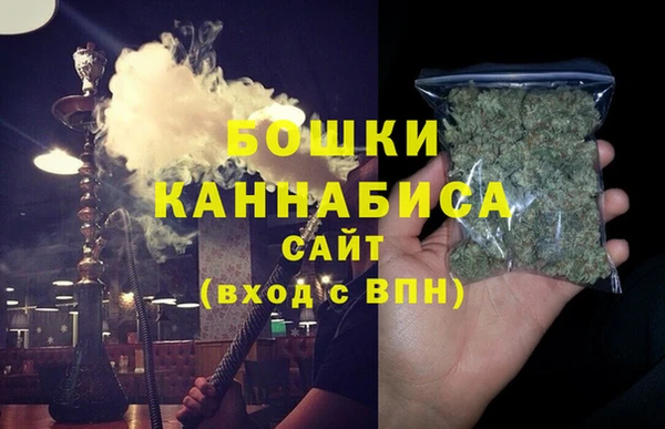 сатива Надым