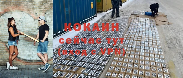 сатива Надым