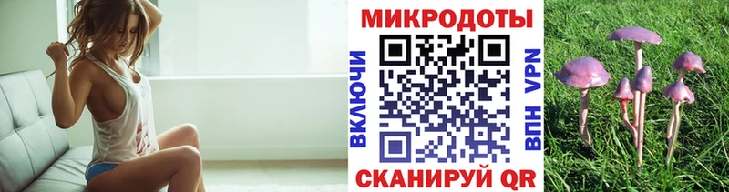 где можно купить наркотик Набережные Челны мега tor Псилоцибиновые грибы ЛСД