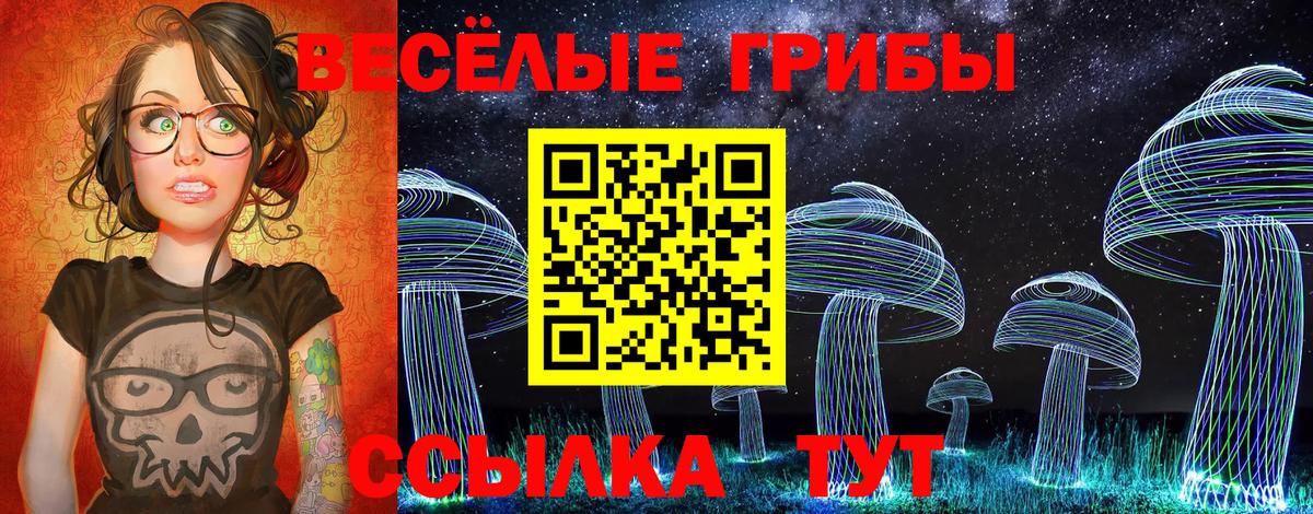 Псилоцибиновые грибы мухоморы Набережные Челны